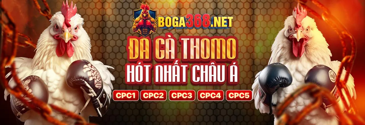 Chương trình VIP Thabet Thể Thao với nhiều ưu đãi độc quyền